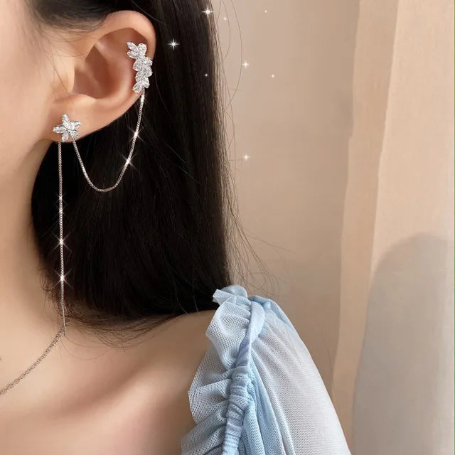 Clipes de orelha de Joias Elegante